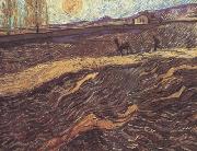 Enclosed Field with Ploughman (nn04) Vincent Van Gogh